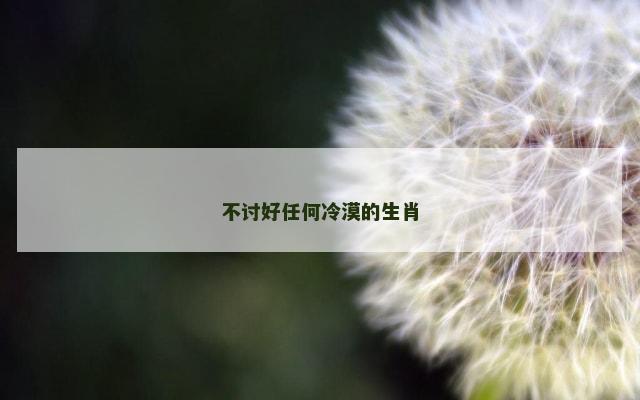 不讨好任何冷漠的生肖
