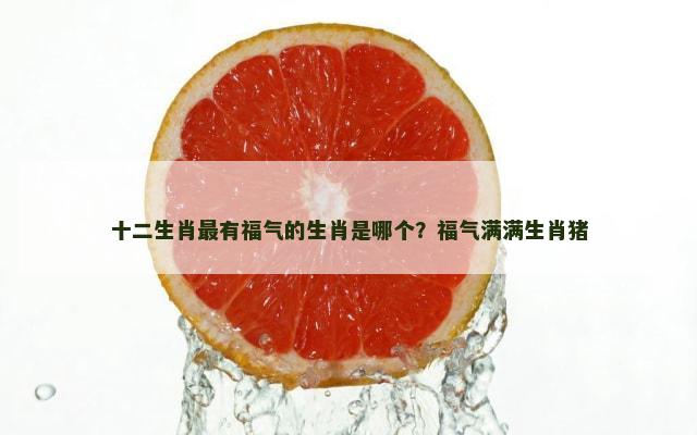 十二生肖最有福气的生肖是哪个？福气满满生肖猪