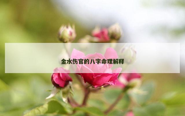 金水伤官的八字命理解释