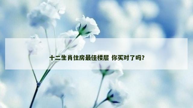 十二生肖住房最佳楼层 你买对了吗？