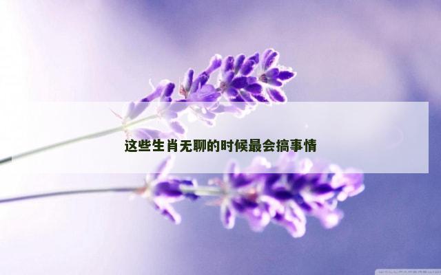 这些生肖无聊的时候最会搞事情