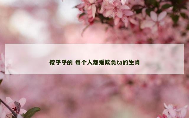 傻乎乎的 每个人都爱欺负ta的生肖