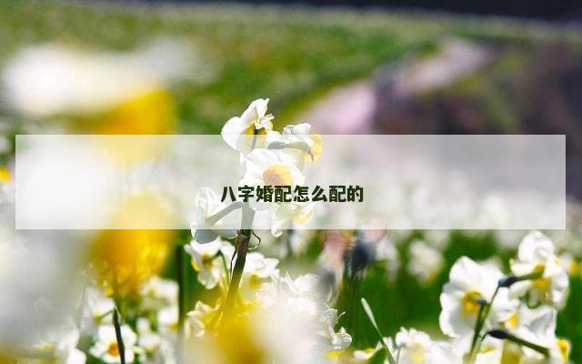 八字婚配怎么配的