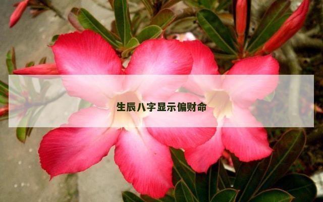 生辰八字显示偏财命