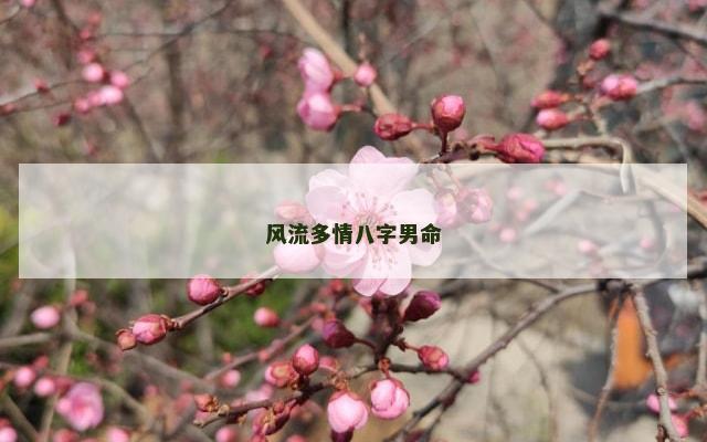 风流多情八字男命