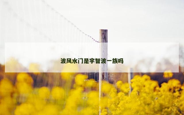 波风水门是宇智波一族吗
