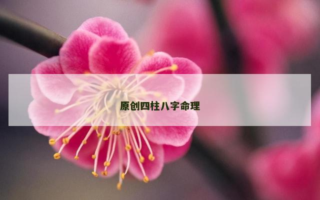 原创四柱八字命理