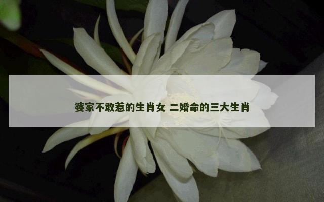 婆家不敢惹的生肖女 二婚命的三大生肖
