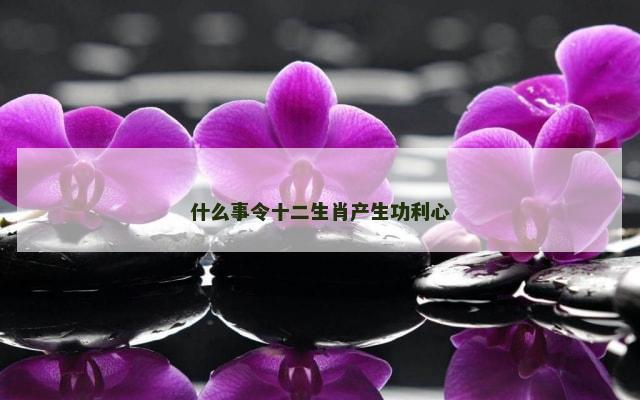什么事令十二生肖产生功利心