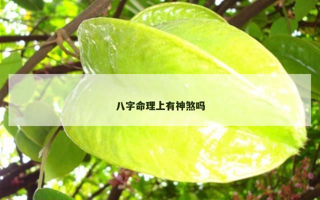 八字命理上有神煞吗