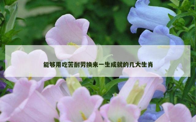 能够用吃苦耐劳换来一生成就的几大生肖