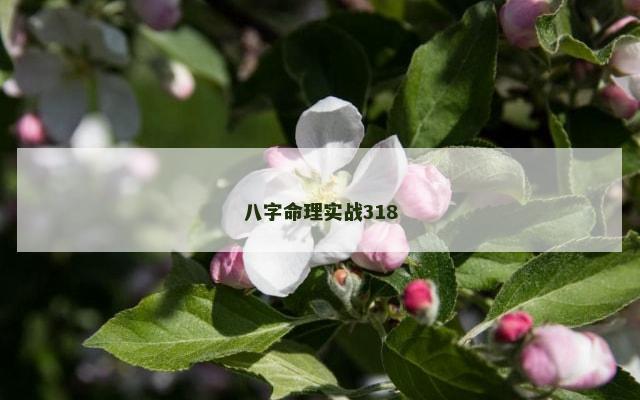 八字命理实战318