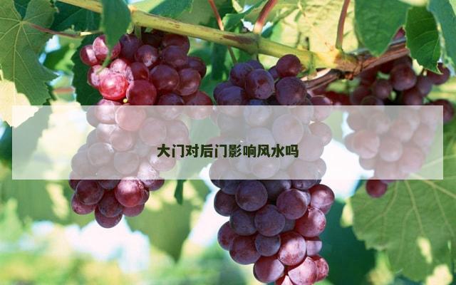 大门对后门影响风水吗