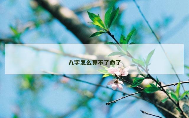 八字怎么算不了命了