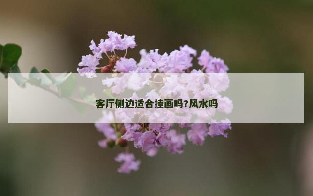 客厅侧边适合挂画吗?风水吗