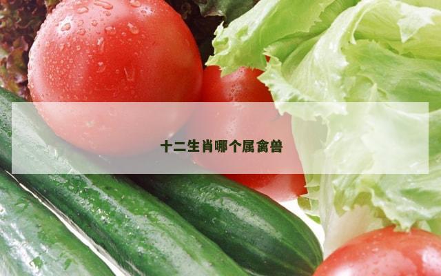 十二生肖哪个属禽兽