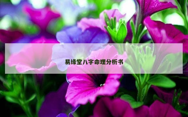 易缘堂八字命理分析书