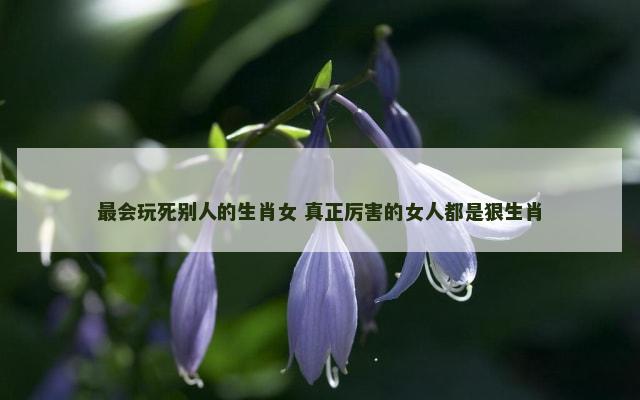 最会玩死别人的生肖女 真正厉害的女人都是狠生肖