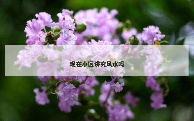 现在小区讲究风水吗