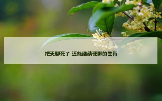 把天聊死了 还能继续硬聊的生肖