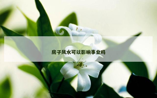 房子风水可以影响事业吗
