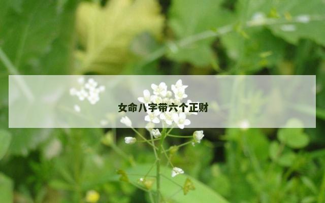 女命八字带六个正财