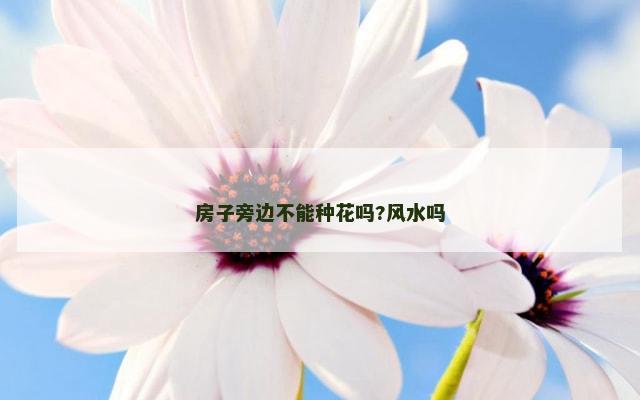 房子旁边不能种花吗?风水吗