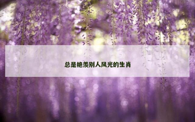 总是艳羡别人风光的生肖