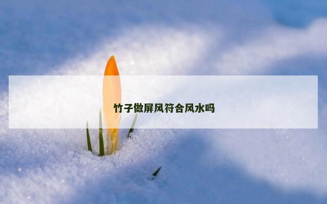 竹子做屏风符合风水吗
