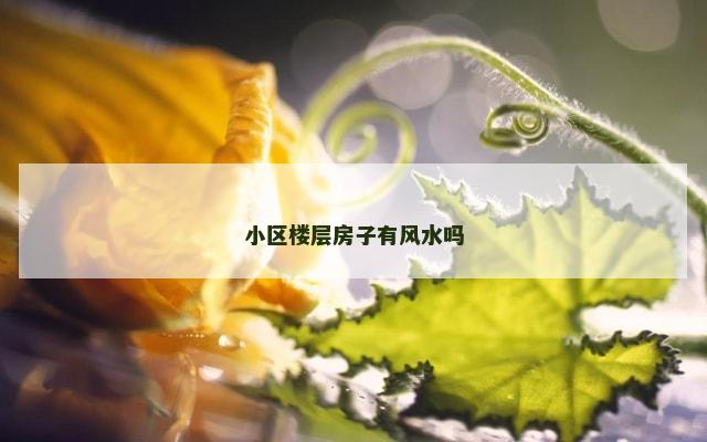 小区楼层房子有风水吗