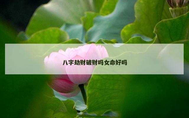八字劫财破财吗女命好吗