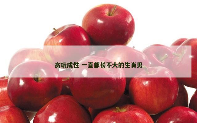 贪玩成性 一直都长不大的生肖男