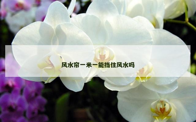 风水帘一米一能挡住风水吗