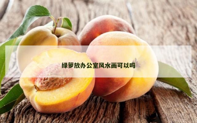 绿萝放办公室风水画可以吗