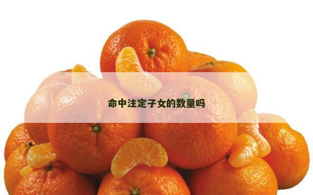 命中注定子女的数量吗