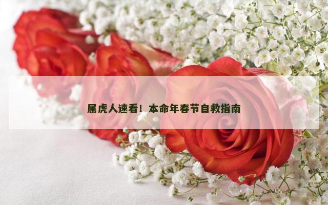 属虎人速看！本命年春节自救指南