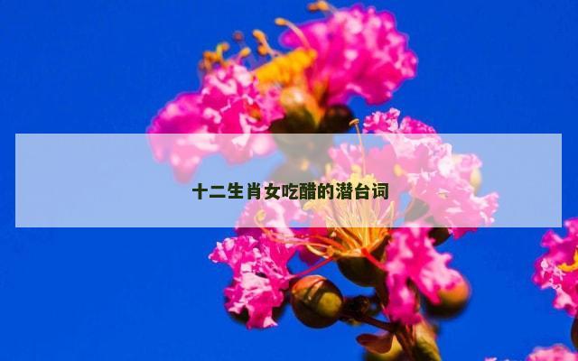 十二生肖女吃醋的潜台词