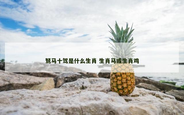 驽马十驾是什么生肖 生肖马或生肖鸡