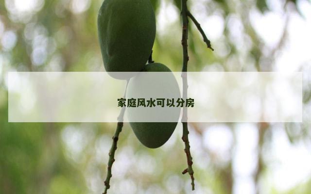 家庭风水可以分房