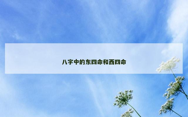 八字中的东四命和西四命