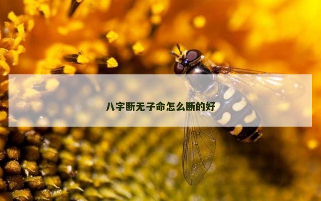 八字断无子命怎么断的好