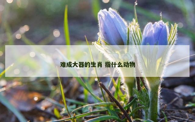 难成大器的生肖 指什么动物