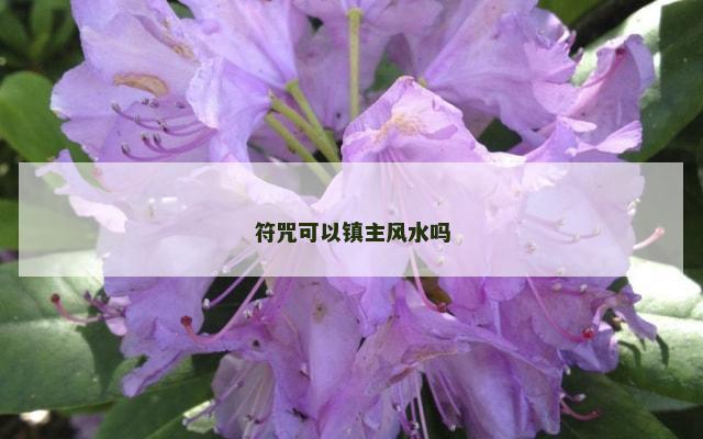 符咒可以镇主风水吗