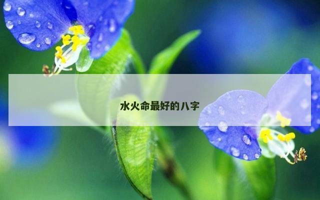 水火命最好的八字