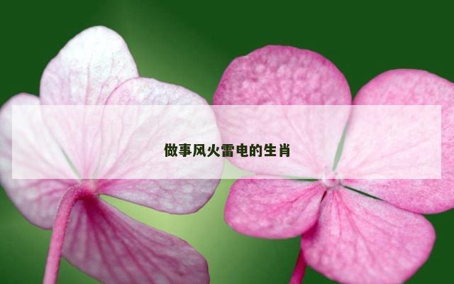 做事风火雷电的生肖