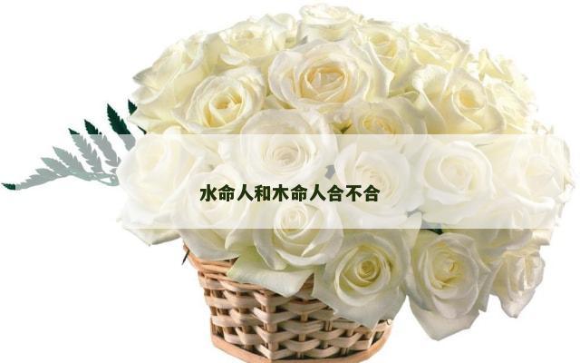 水命人和木命人合不合