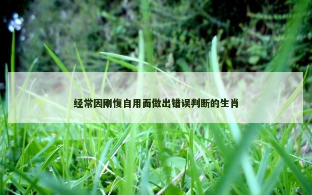 经常因刚愎自用而做出错误判断的生肖