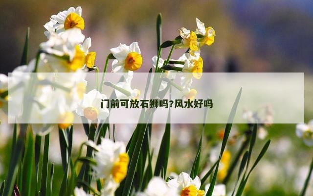 门前可放石狮吗?风水好吗