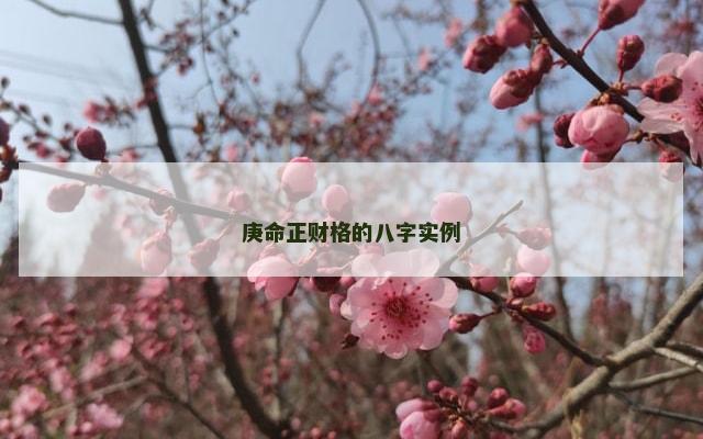 庚命正财格的八字实例