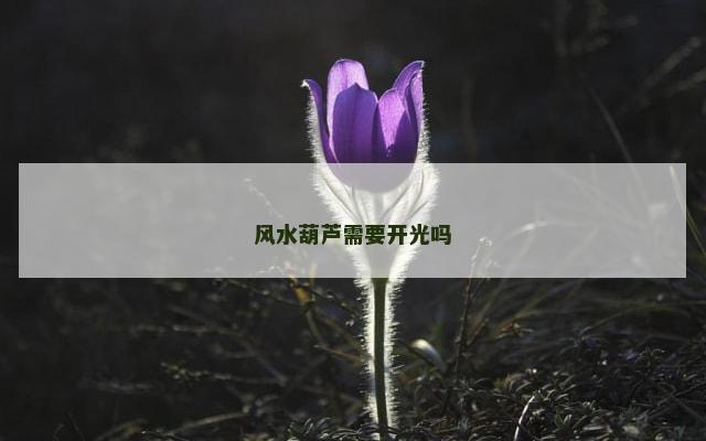 风水葫芦需要开光吗
